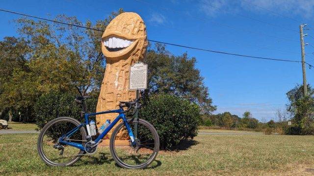 smiling peanut plains georgia