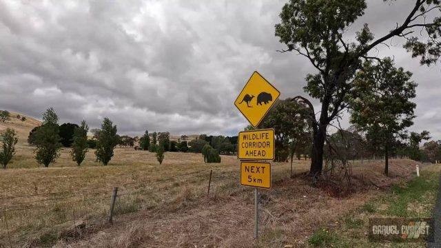 bendigo gravel cycling