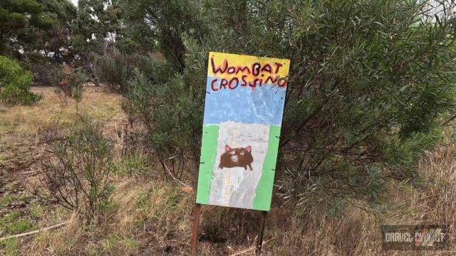 bendigo gravel cycling