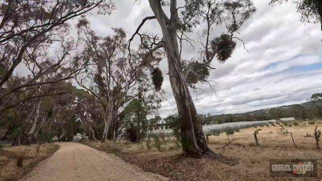 bendigo gravel cycling