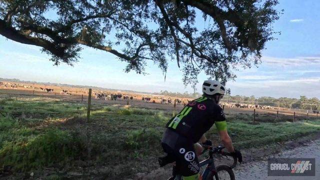 tour of the quilt country trenton florida