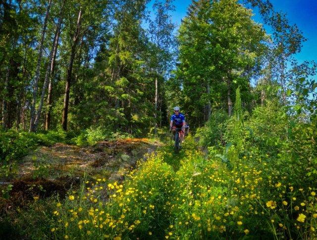 gravel sweden INZAIN Cycling Adventures