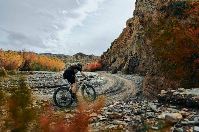 rose bikes backroad ff review
