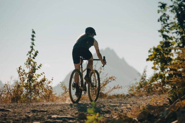 delium tires speed-x review