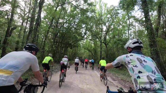 mallory swamp classic