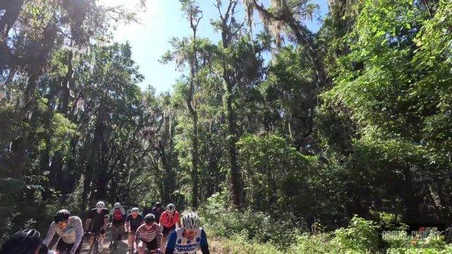 2024 strada bellamy north florida