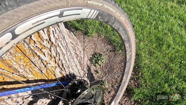 lachlan morton eveyday bike
