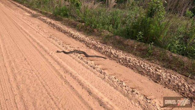 central georgia gravel cycling
