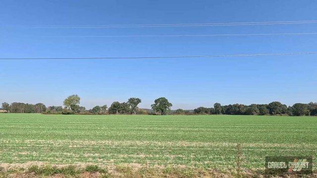 alabama gravel cycling