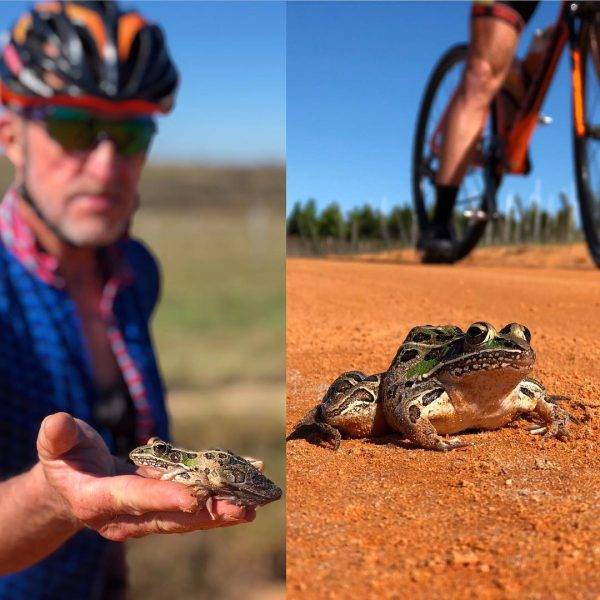 chris tricoli legendary cyclist