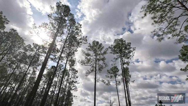 faustian bargain florida gravel cycling