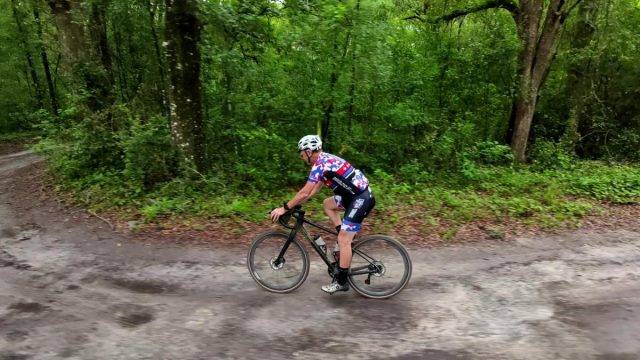 parlee taos review