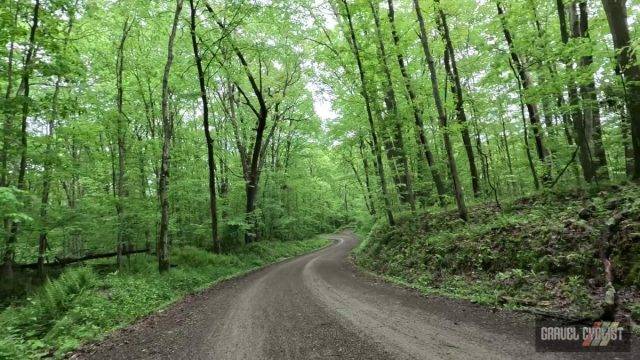 2025 roughneck gravel roubaix