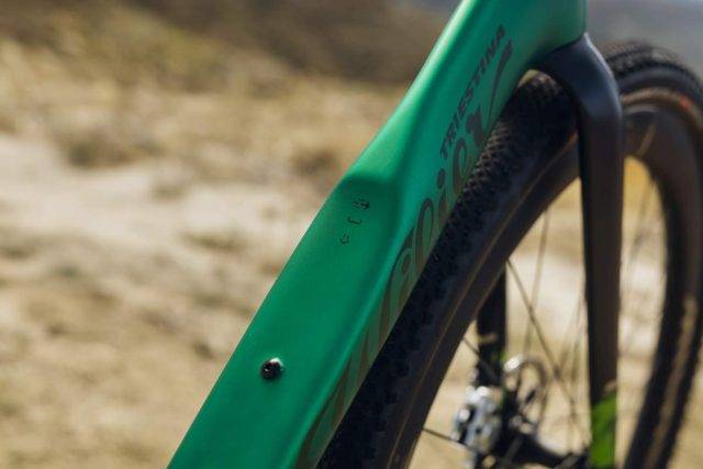 Wilier Triestina Rave SLR ID2 review