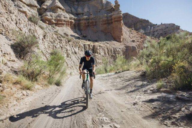 Wilier Triestina Rave SLR ID2 review