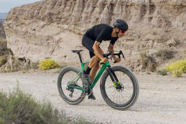 Wilier Triestina Rave SLR ID2 review