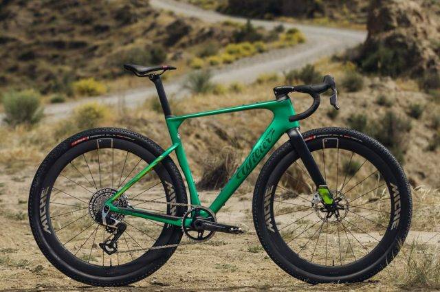 Wilier Triestina Rave SLR ID2 review