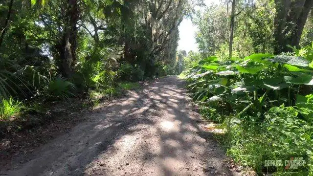 100 Degrees in the Shade Cycling