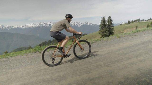 Pine Cycles FRST Review