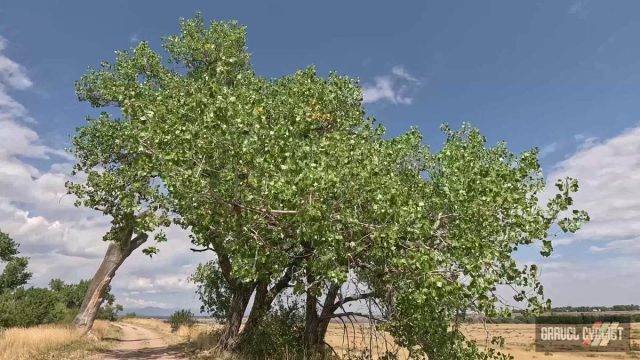 Colorado front range gravel lee gulch high line canal