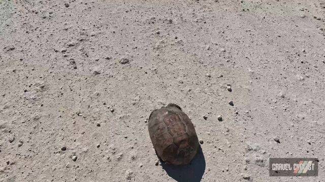 north florida gravel cycling