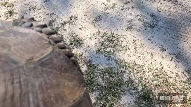 north florida gravel cycling