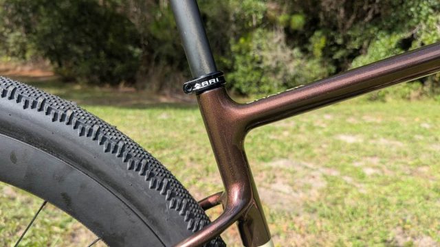 ari shafer 3.0 review