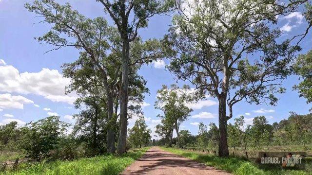 ripley queensland gravel cycling
