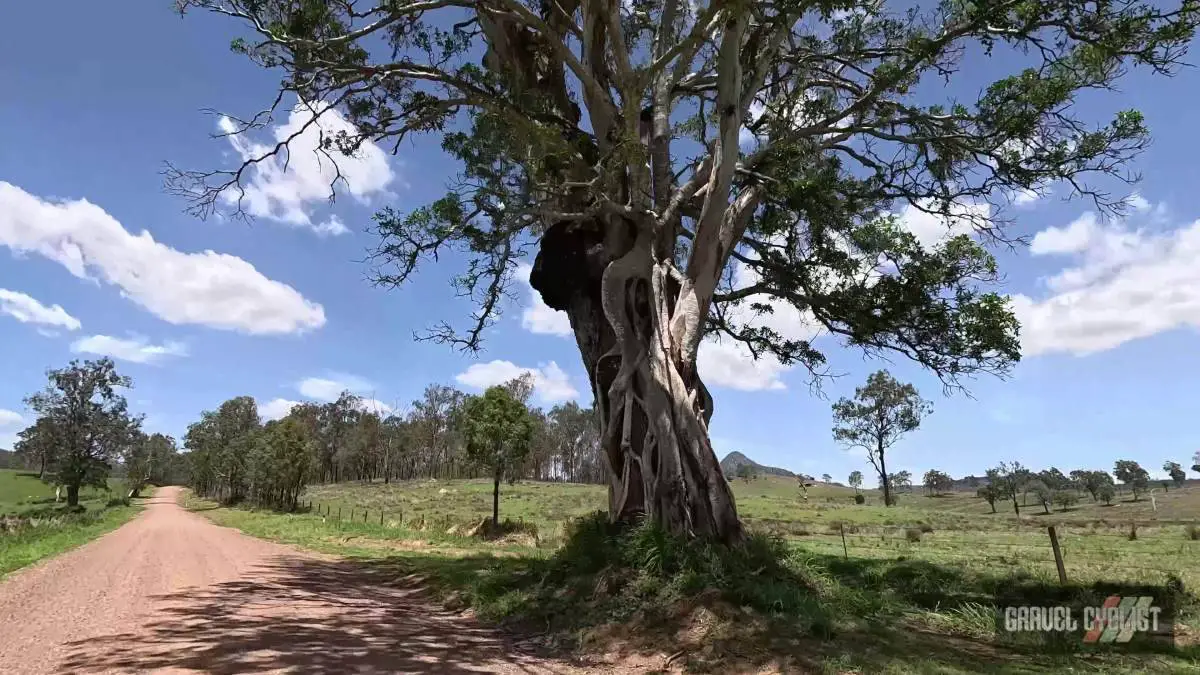 ripley queensland gravel cycling