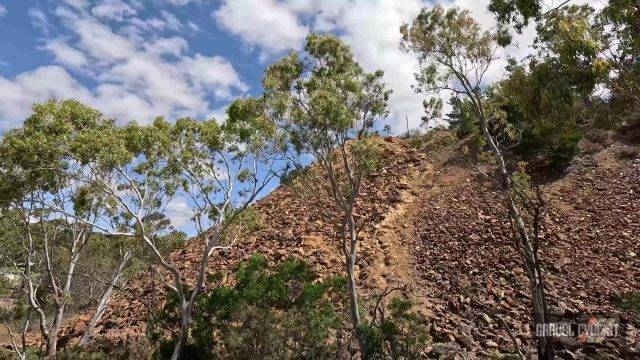 adelaide hills gravel cycling balhannah