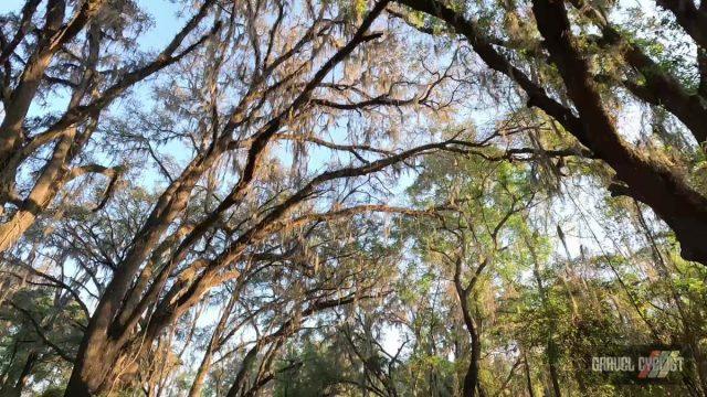 gravel challenge gainesville florida