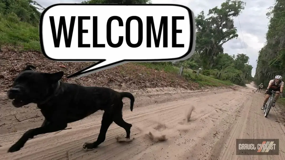 Welcome to North Florida: 140+ Miles of Gravel Cycling Madness