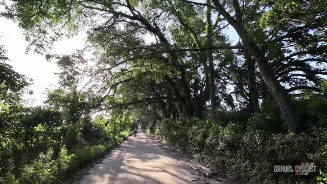 singletrack samurai blueberry pancakes gravel ride