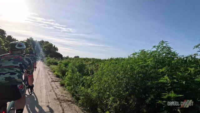 singletrack samurai blueberry pancakes gravel ride