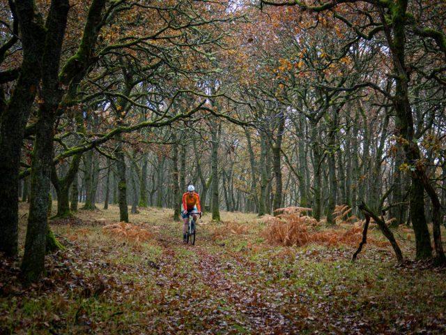 alyth gravel network scotland