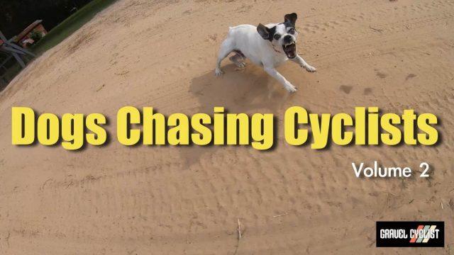 dogs chasing cyclists