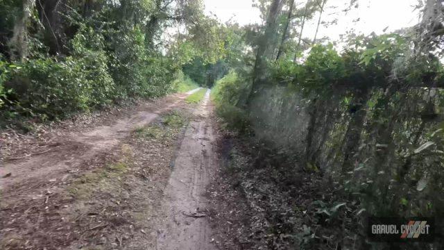 mental health check cycling
