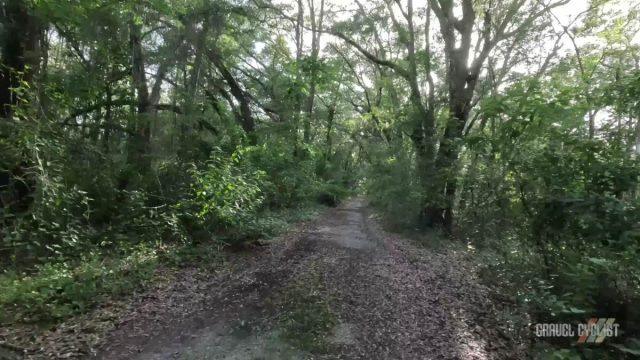 mental health check cycling