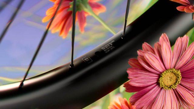 Miche Graff RD Wheel review