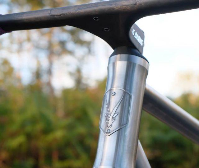 Chiru Bikes Vagus:i review