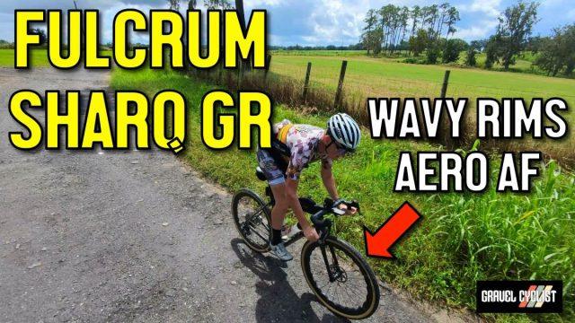 fulcrum sharq review