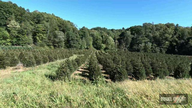 boone north carolina gravel cycling
