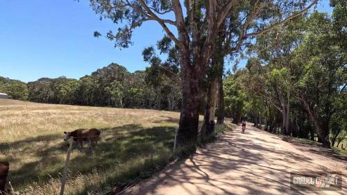Adelaide Hills gravel cycling