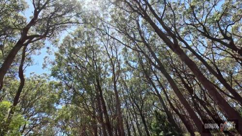 Adelaide Hills gravel cycling
