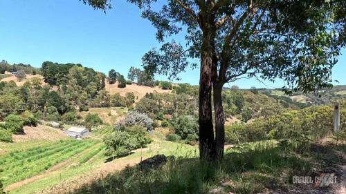 Adelaide Hills gravel cycling