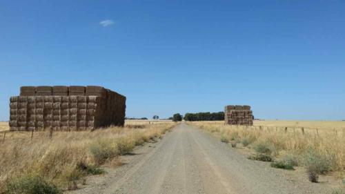 barossa valley gravel cycling