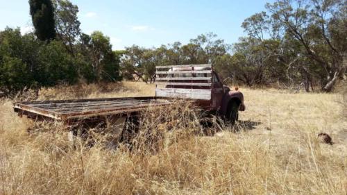 barossa valley gravel cycling