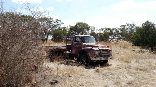 barossa valley gravel cycling