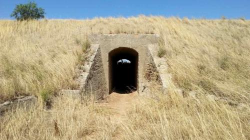 barossa valley gravel cycling