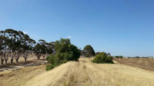 barossa valley gravel cycling